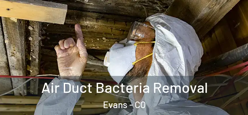  Air Duct Bacteria Removal Evans - CO