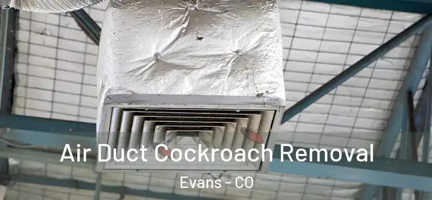  Air Duct Cockroach Removal Evans - CO