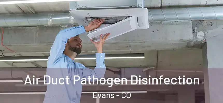  Air Duct Pathogen Disinfection Evans - CO