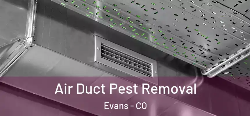  Air Duct Pest Removal Evans - CO