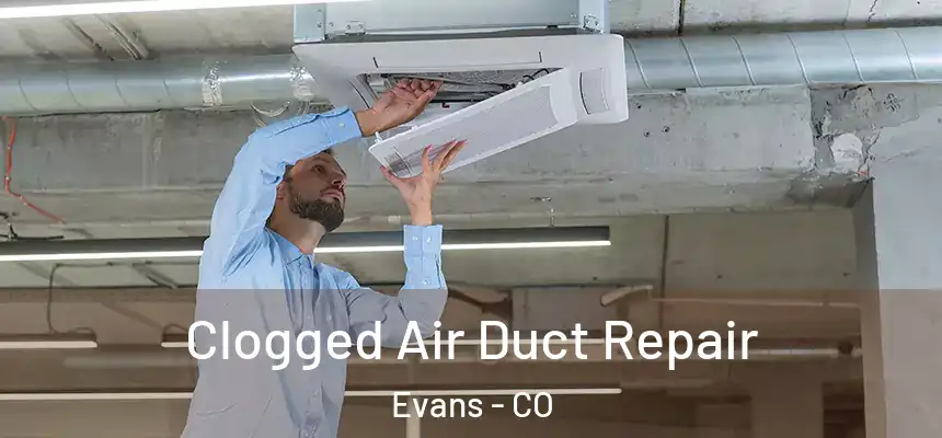  Clogged Air Duct Repair Evans - CO