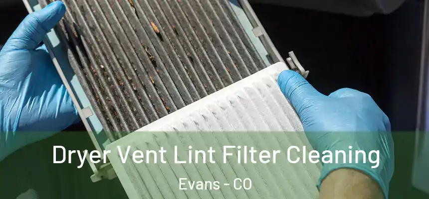  Dryer Vent Lint Filter Cleaning Evans - CO