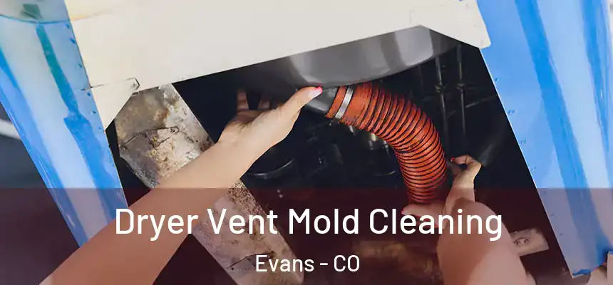  Dryer Vent Mold Cleaning Evans - CO