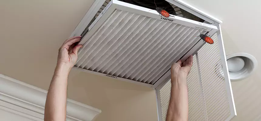 Our Insect Removal from Air Ducts Services in Evans, CO