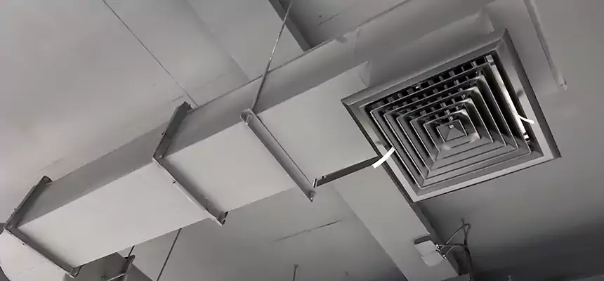 Our Pest Removal From Ducts Services in Evans, CO