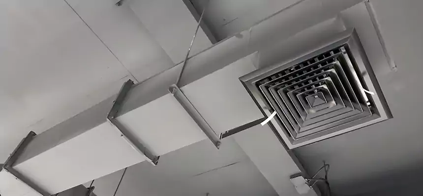 Our Rodent Droppings In Vents Services in Evans, CO