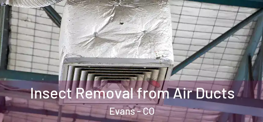  Insect Removal from Air Ducts Evans - CO