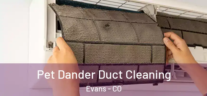  Pet Dander Duct Cleaning Evans - CO