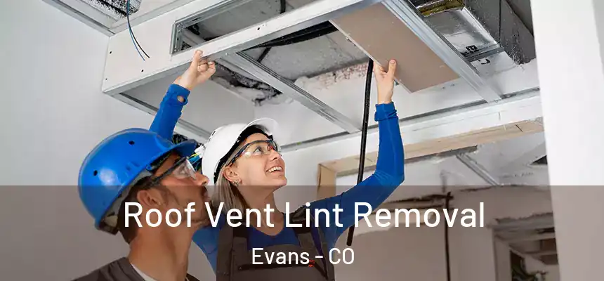  Roof Vent Lint Removal Evans - CO