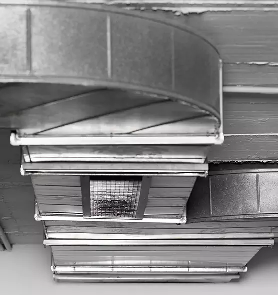 Professional Air Duct Pet Hair Removal in Evans, CO