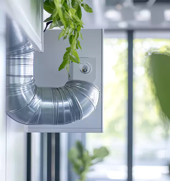 Professional Eco-Friendly Duct Cleaning Services in Evans, CO