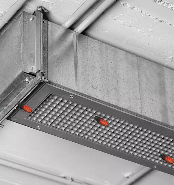 Affordable Insect Removal from Air Ducts in Evans, CO