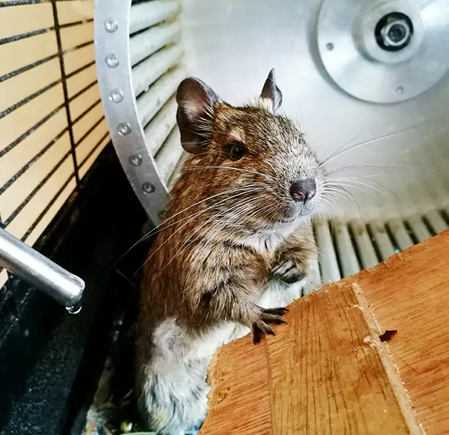 Why Homeowners & Businesses Trust Us Evans, CO?