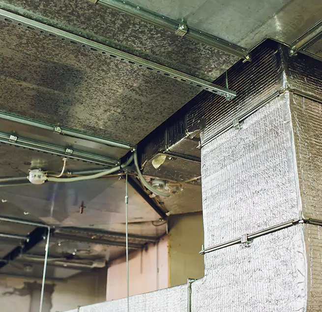 Why Homeowners & Businesses Trust Us in Evans, CO?